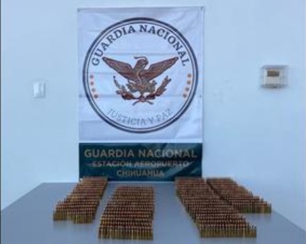 BINOMIOS CANINOS DE LA GUARDIA NACIONAL LOCALIZO MÁS 1200 CARTUCHOS EN ENVASE PARA LECHE