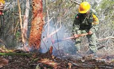 EJÉRCITO MEXICANO DESPLIEGA MÁS DE 530 EFECTIVOS PARA APLICAR PLAN DN-III-E EN DIVERSOS ESTADOS DEL PAÍS POR INCENDIOS FORESTALES