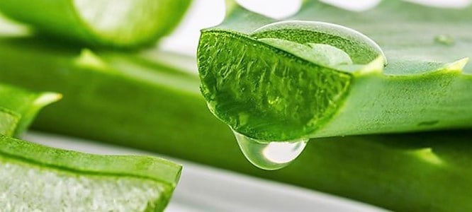 LUCE UN CUTIS TERSO Y SUAVE USANDO REMEDIO CASERO A BASE DE ALOE VERA.