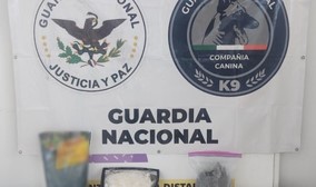 Localizan Guardia Nacional aparente Crystal y Mariguana en faro de automóvil y empaque de fertilizante