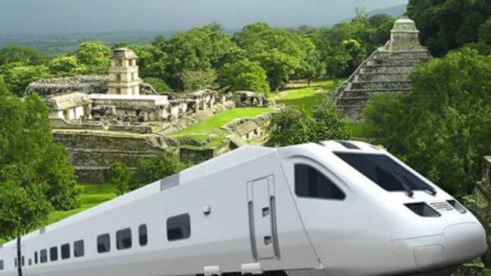 La Fase 1 del Tren Maya acabará con miles de árboles de la selva.