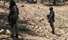 Guardia Nacional erradica dos cultivos de aparente mariguana en poblado de sonora