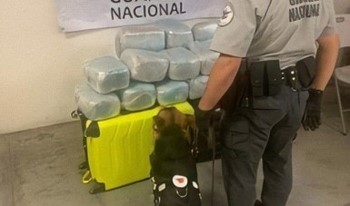 Guardias Nacionales aseguran 14 paquetes presumiblemente de marihuana en aparente estado de abandono