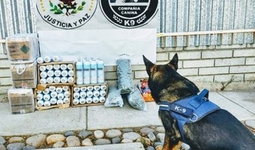 Guardia Nacional intercepta envió de 120 litros de aparente Metanfetamina liquida ocultos en latas de gas refrigerante