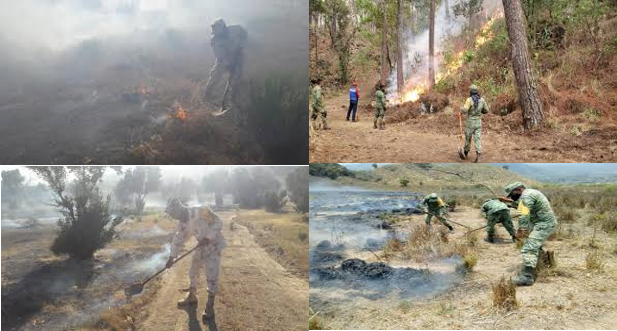 Ejército Mexicano despliega más de 400 efectivos para aplicar el Plan DN-III-E en diversos estados del país por incendios forestales