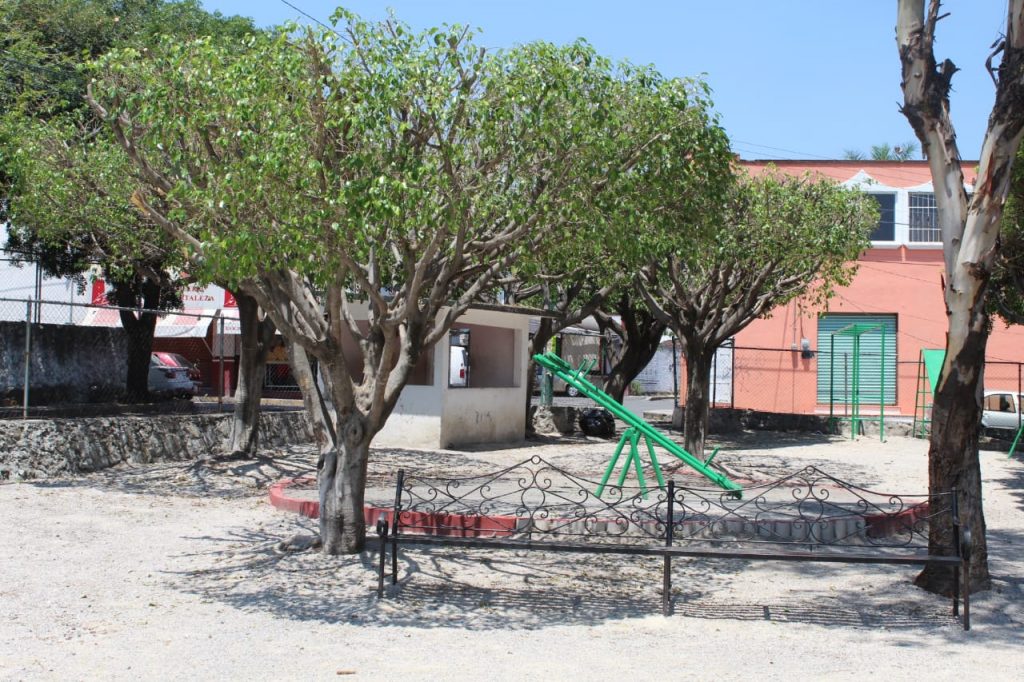 Realizan poda en árboles del parque Zodiaco