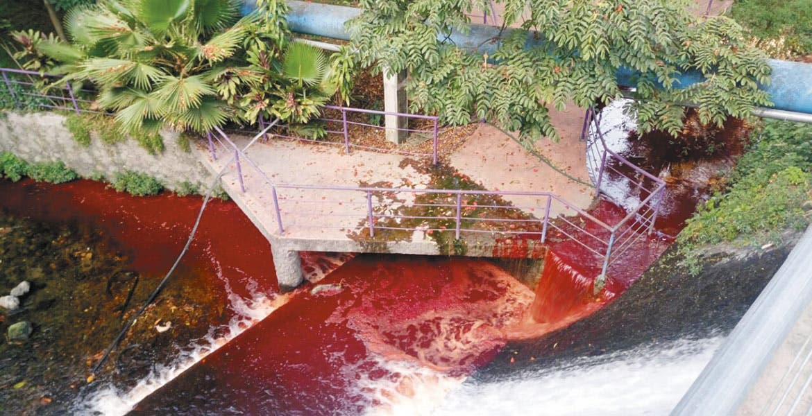 ¿Agua roja en río? Se hace viral el color y esto dice Gobierno de Morelos