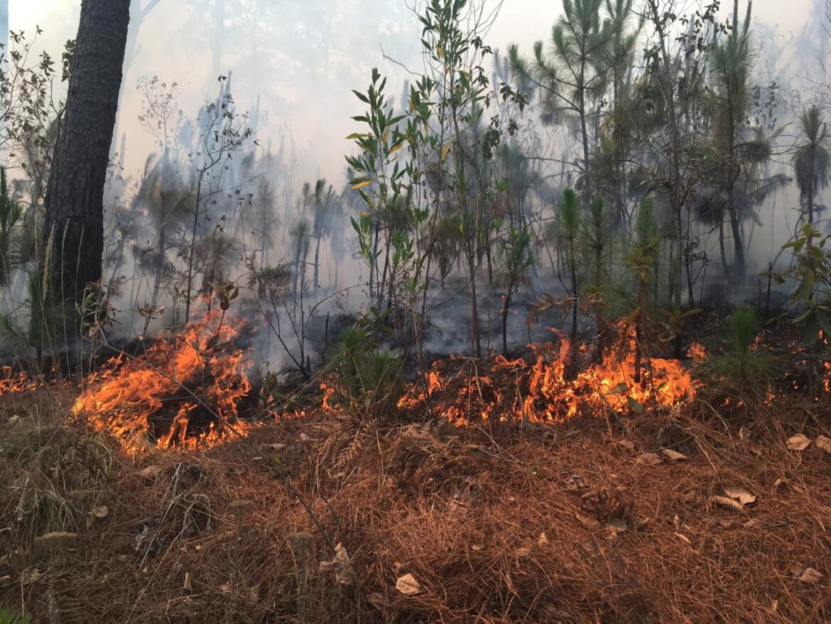 Dos incendios afectan esta tarde a Cuernavaca y Huitzilac