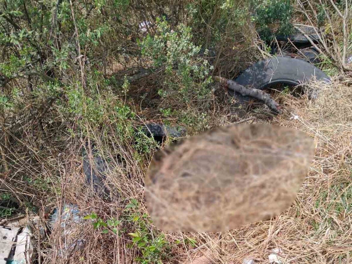 Hallan cadáver semienterrado en la autopista México-Cuernavaca