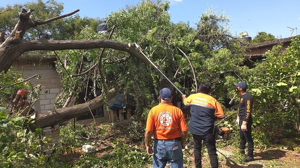 Cuernavaca: Carece de plan de emergencia