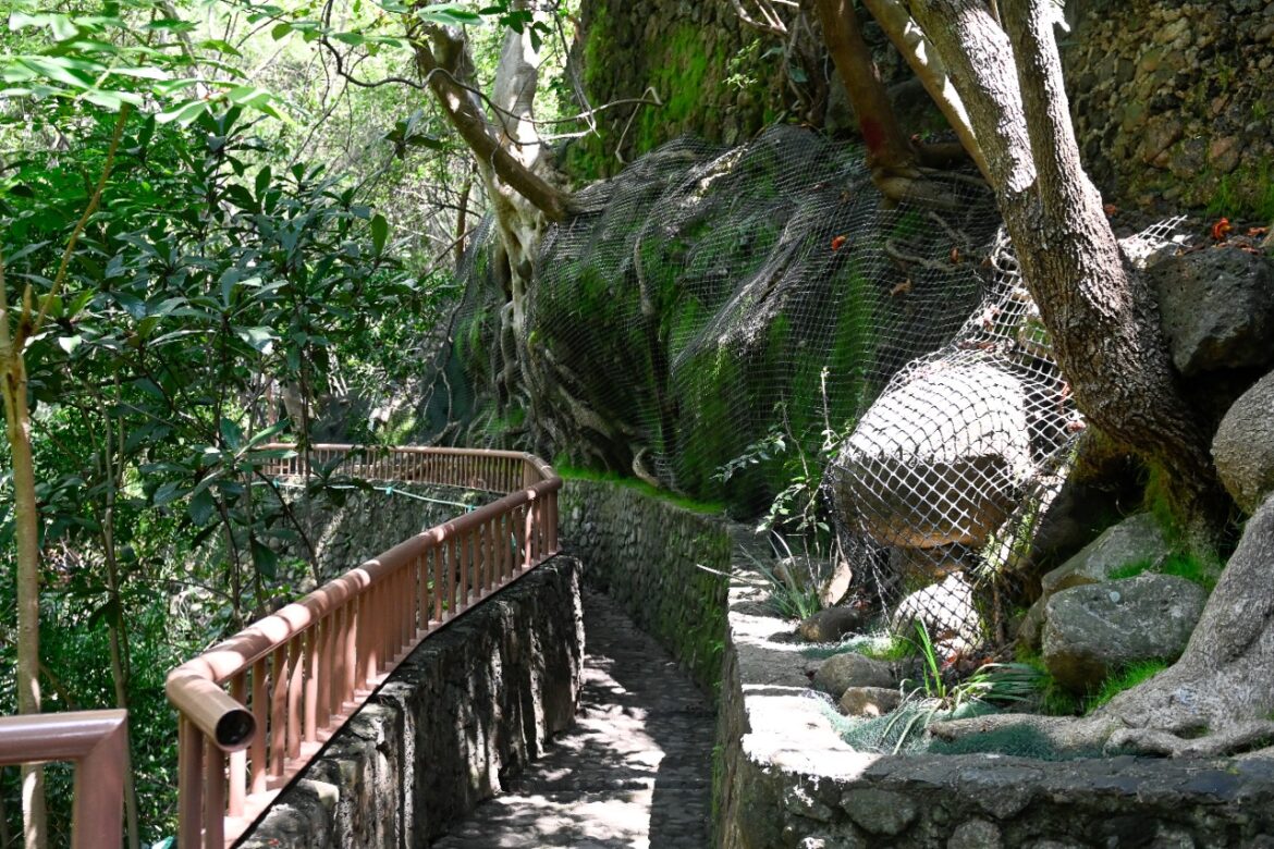 ¿Qué es y dónde está el Paseo Ribereño, lugar en el que cayó un puente colgante en Morelos?