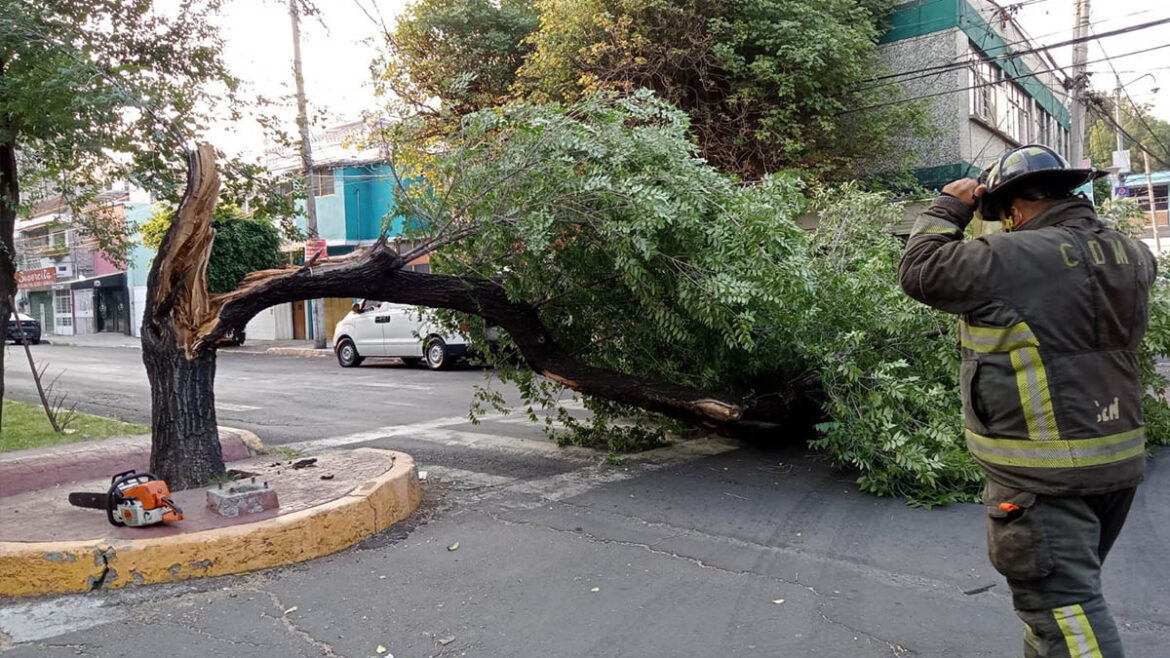 Cuernavaca: Fuertes vientos, lluvia y granizo tiran árboles