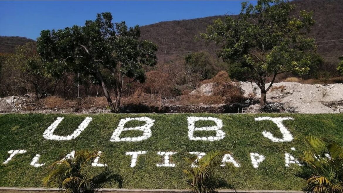 Alumno de Universidad del Bienestar en Morelos ataca a su maestra