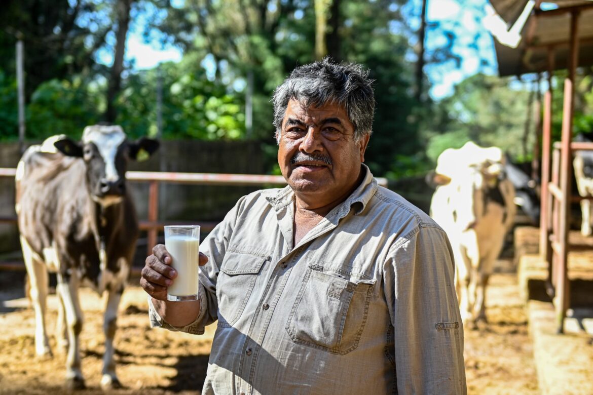 Fortalece Gobierno de Cuauhtémoc Blanco el campo morelense