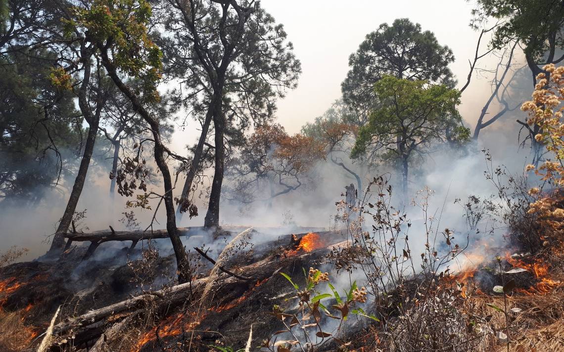 Suman 44 incendios en lo que va del año en Morelos