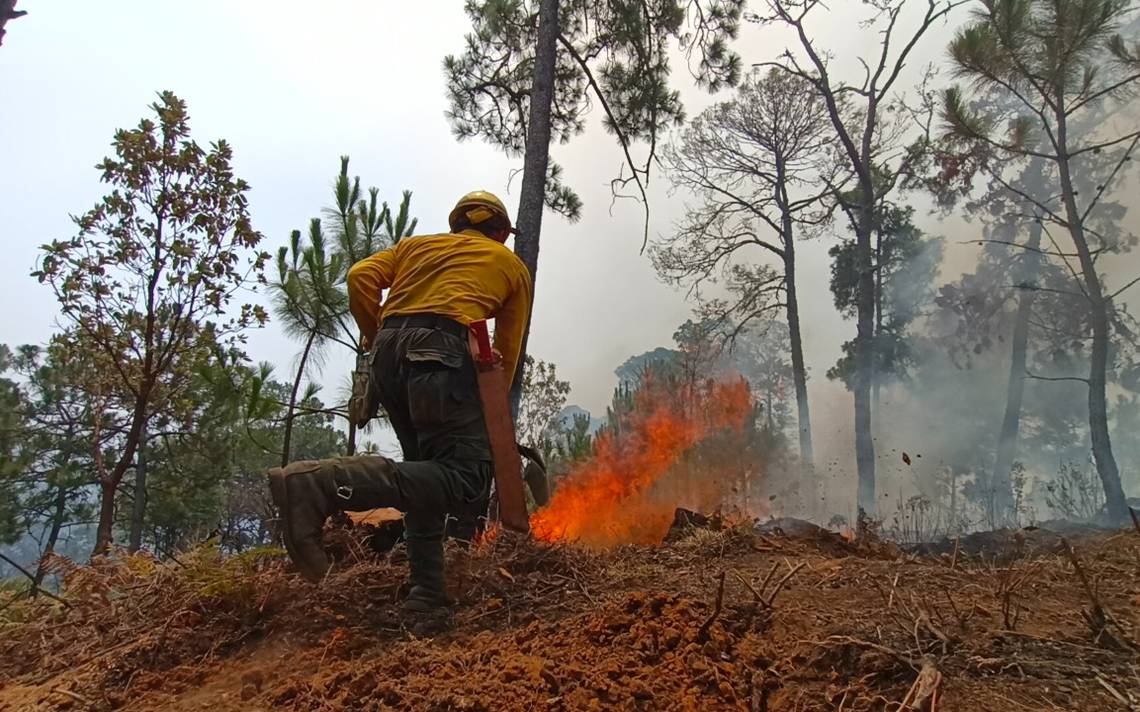 Controlan incendios en dos municipios de Morelos