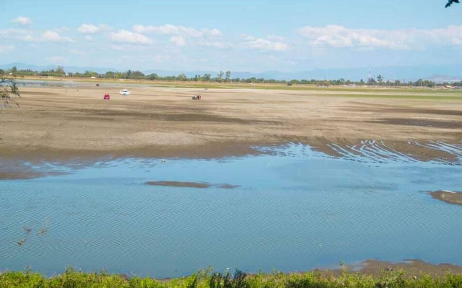 La laguna de Zumpango la secaron por qué las aves de migración «son un riesgo» para el AIFA