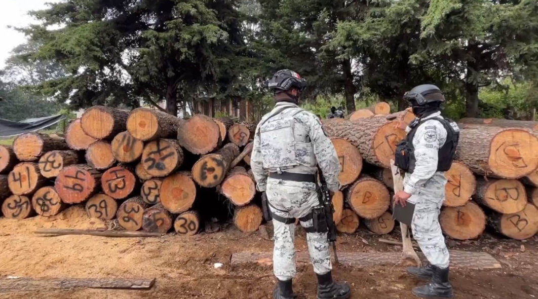 Operativo contra tala clandestina en Morelos