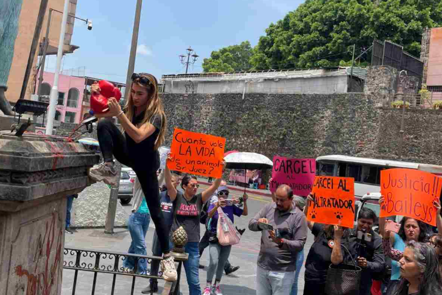 Juez en Morelos deja libre a asesino de perro Baileys y le impone entregar cuatro bultos de croquetas