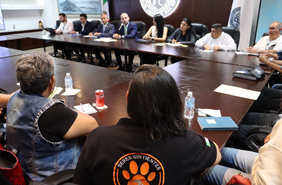 Presenta Fiscal a agente del MP para casos de maltrato animal