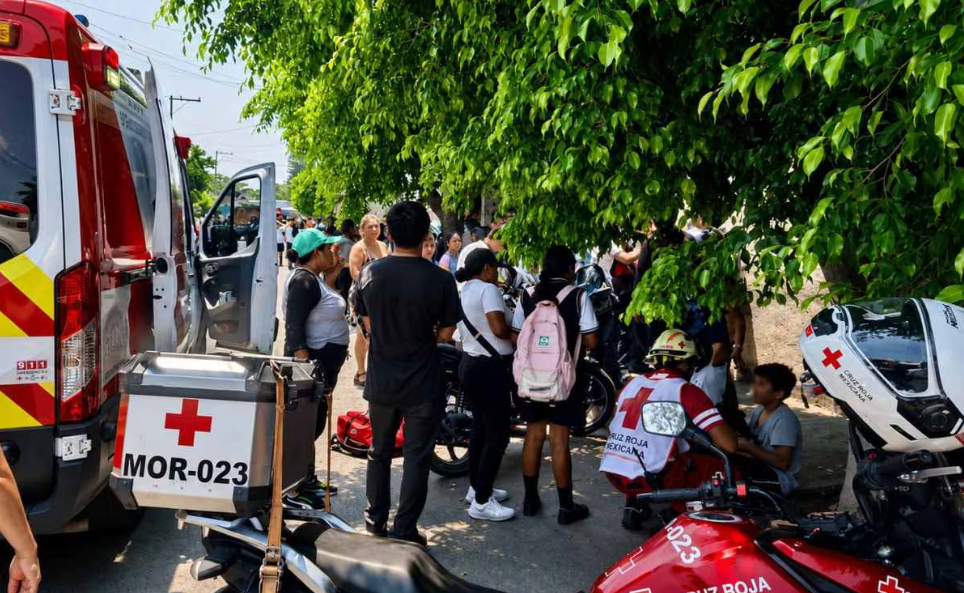 Ataque de abejas deja 9 alumnos de telesecundaria hospitalizados en Cuautla