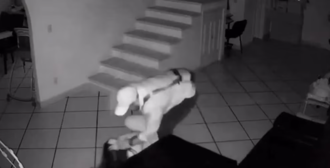 Mujer exhibió videos de las golpizas de su exesposo en Morelos, ahora él busca evitar ser detenido