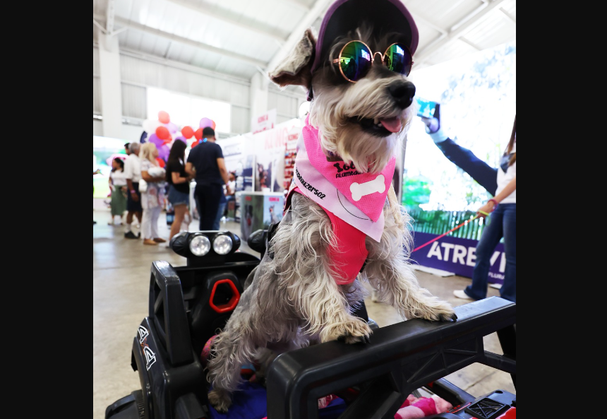 El Pet Lover Fest que conquistó a familias y mascotas.